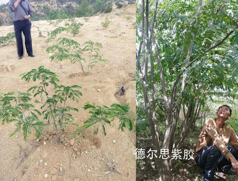 案例-b02